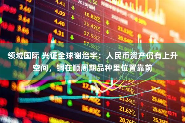 领域国际 兴证全球谢治宇：人民币资产仍有上升空间，铜在顺周期品种里位置靠前